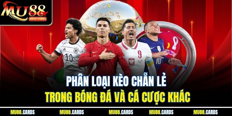 Kèo Chẵn Lẻ Mu88 Dễ Hiểu Dễ Chơi, Cơ Hội Trúng Lớn Cao 2 Phân loại kèo chẵn lẻ trong bóng đá và cá cược khác